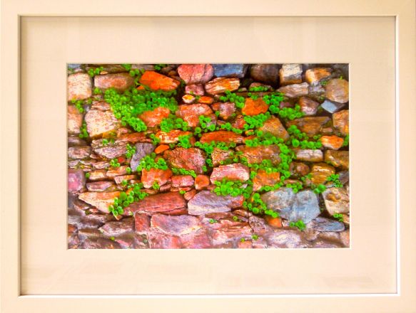 Fragments - 2013<br /><br /><h6>South of France: Wall</h6>  Artistâ€™s photographic print on Somerset Velvet 1/5 <br /> 400mm x 300mm H <br /><br /><br /><br /><br /><br /><br /><h7>For sale</h7>
